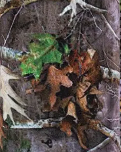 Picture6
